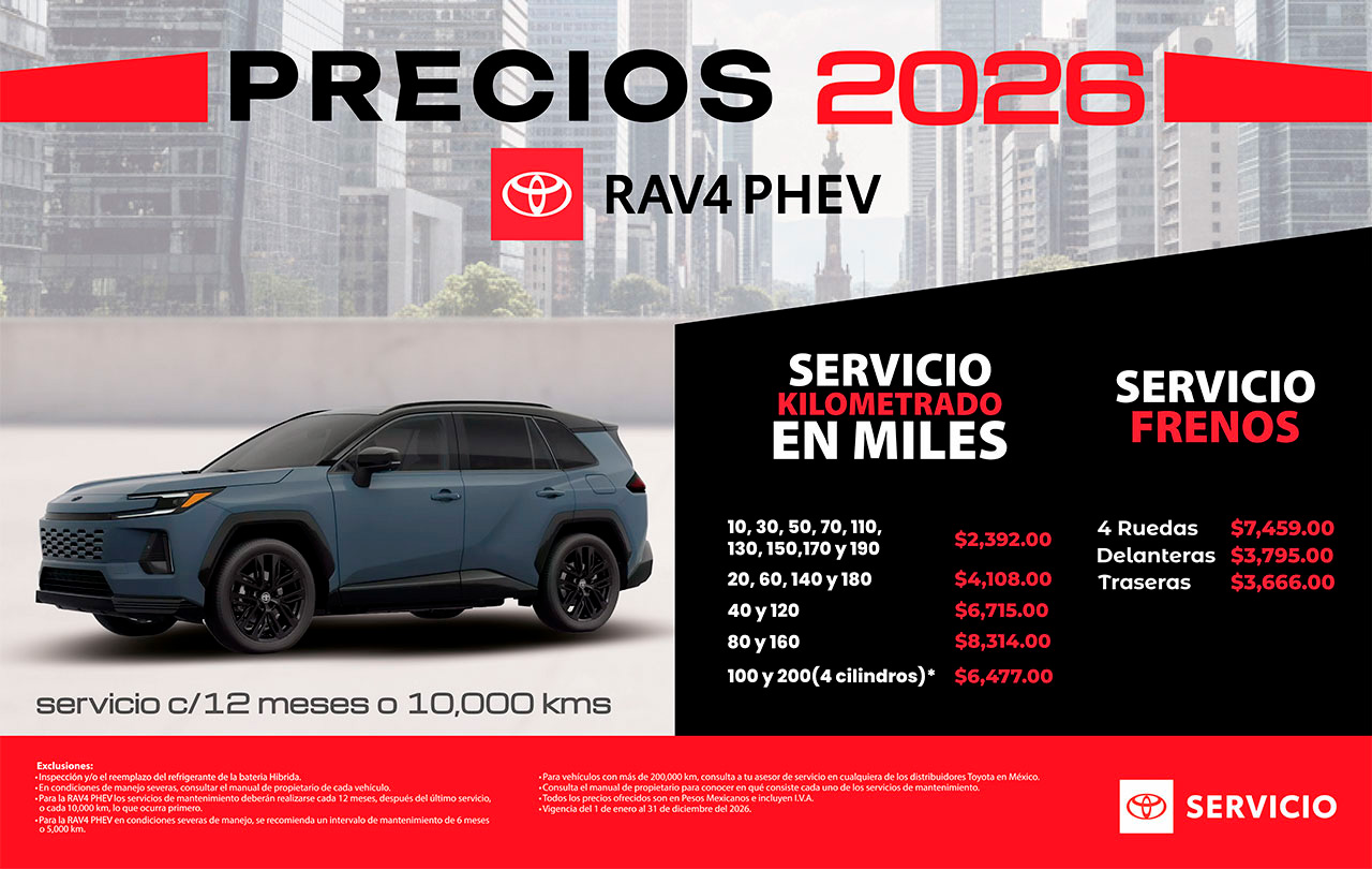 Precios de servicio 2025